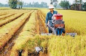 Kéo dài thời gian hỗ trợ phí bảo hiểm nông nghiệp đến hết năm 2021